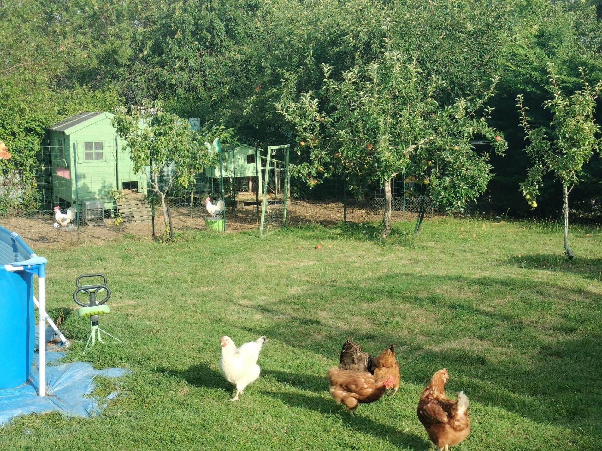 Un Studio Avec Une Entree Independante Thilouze Buitenkant foto